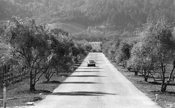 Opus One driveway in black and white 35mm film with a vintage car